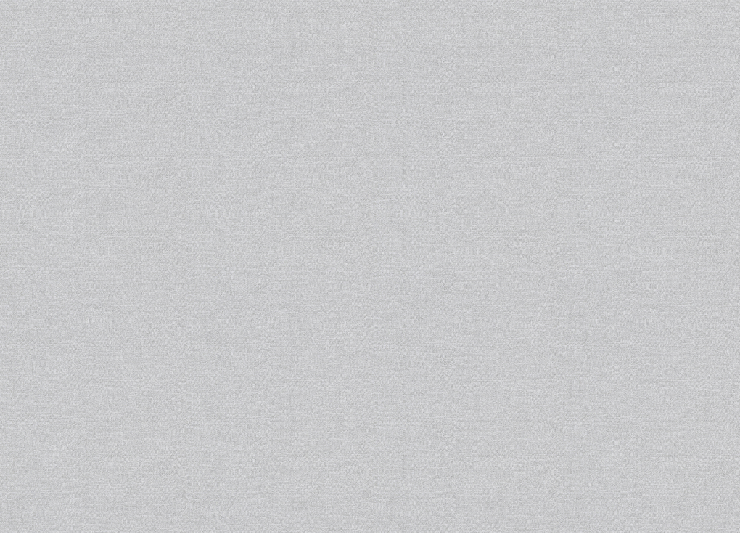 30376 Обои Marburg (Memoria) (1*6) 10,05x1,06 винил на флизелине