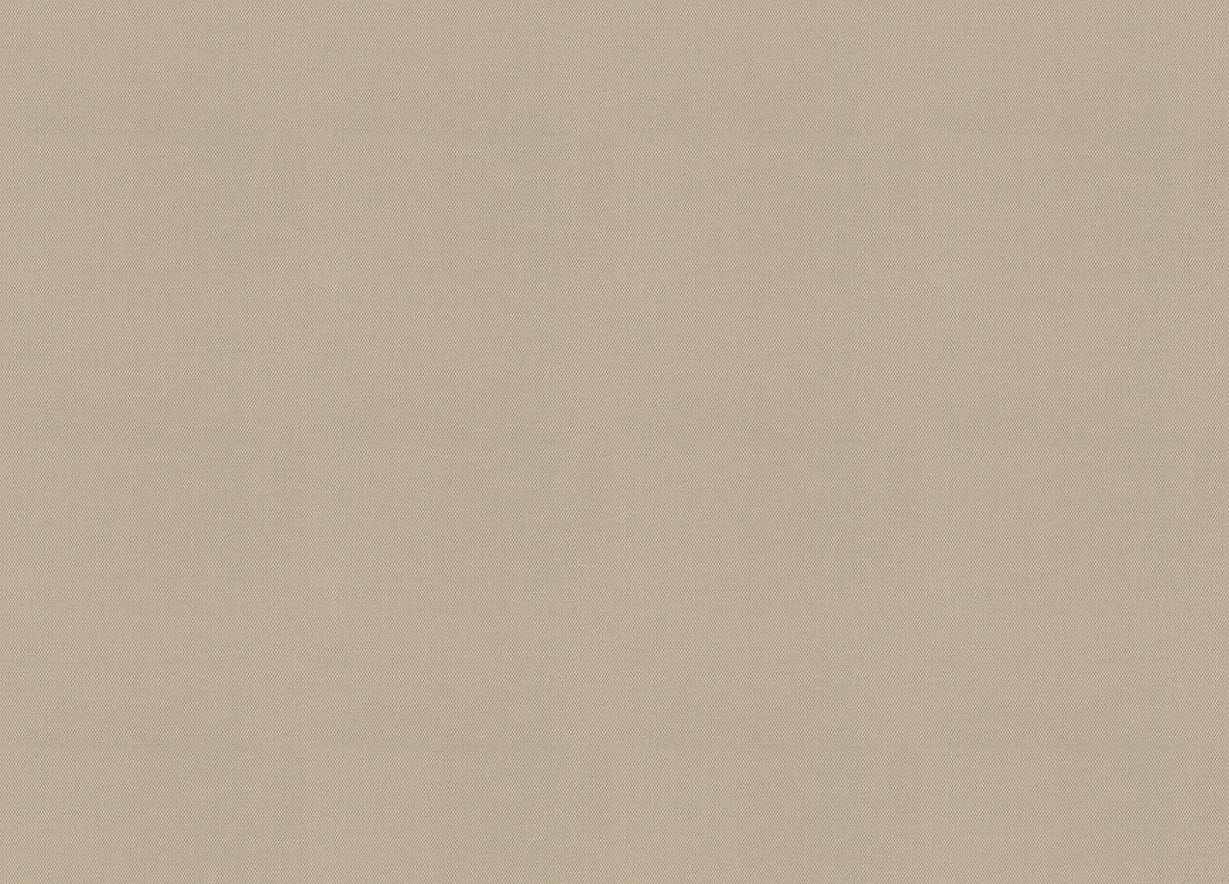 423921 Обои Rasch (Allegretto) (1*12) 10,05x0,53 винил на флизелине 423921 Обои Rasch (Allegretto) (1*12) 10,05x0,53 винил на флизелине
