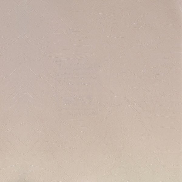 Обои Roberto Borzagi Queen I 90103-2 Обои Roberto Borzagi Queen I 90103-2