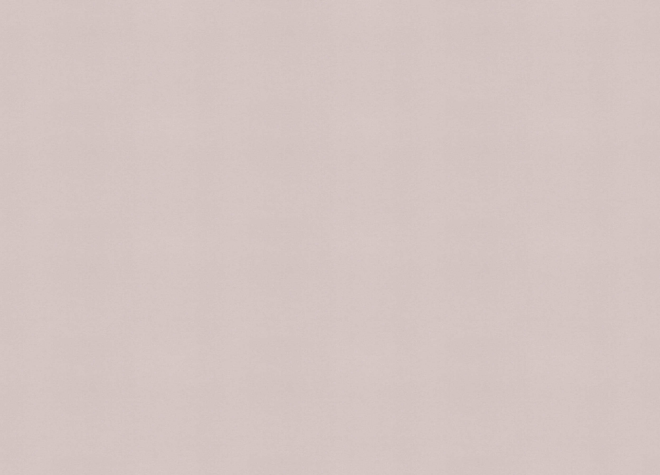 971484 Обои Rasch (Country Living) (1*6) 10,00x1,06 винил на флизелине 971484 Обои Rasch (Country Living) (1*6) 10,00x1,06 винил на флизелине