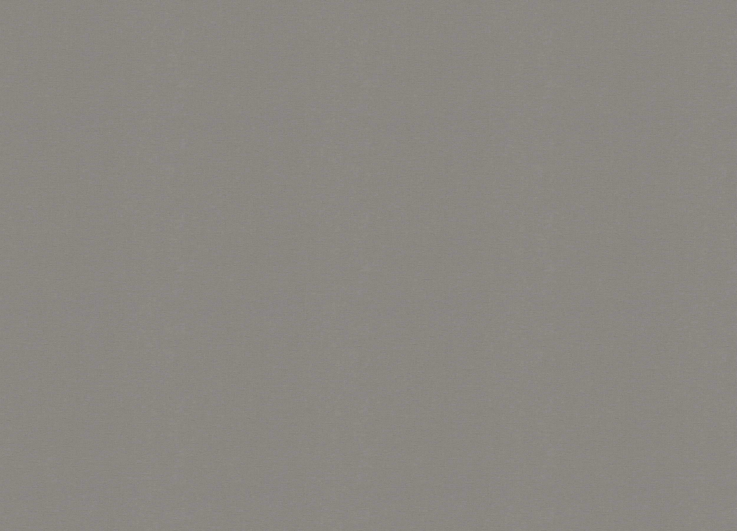 448627 Обои Rasch (Allegretto) (1*12) 10,05x0,53 винил на флизелине 448627 Обои Rasch (Allegretto) (1*12) 10,05x0,53 винил на флизелине
