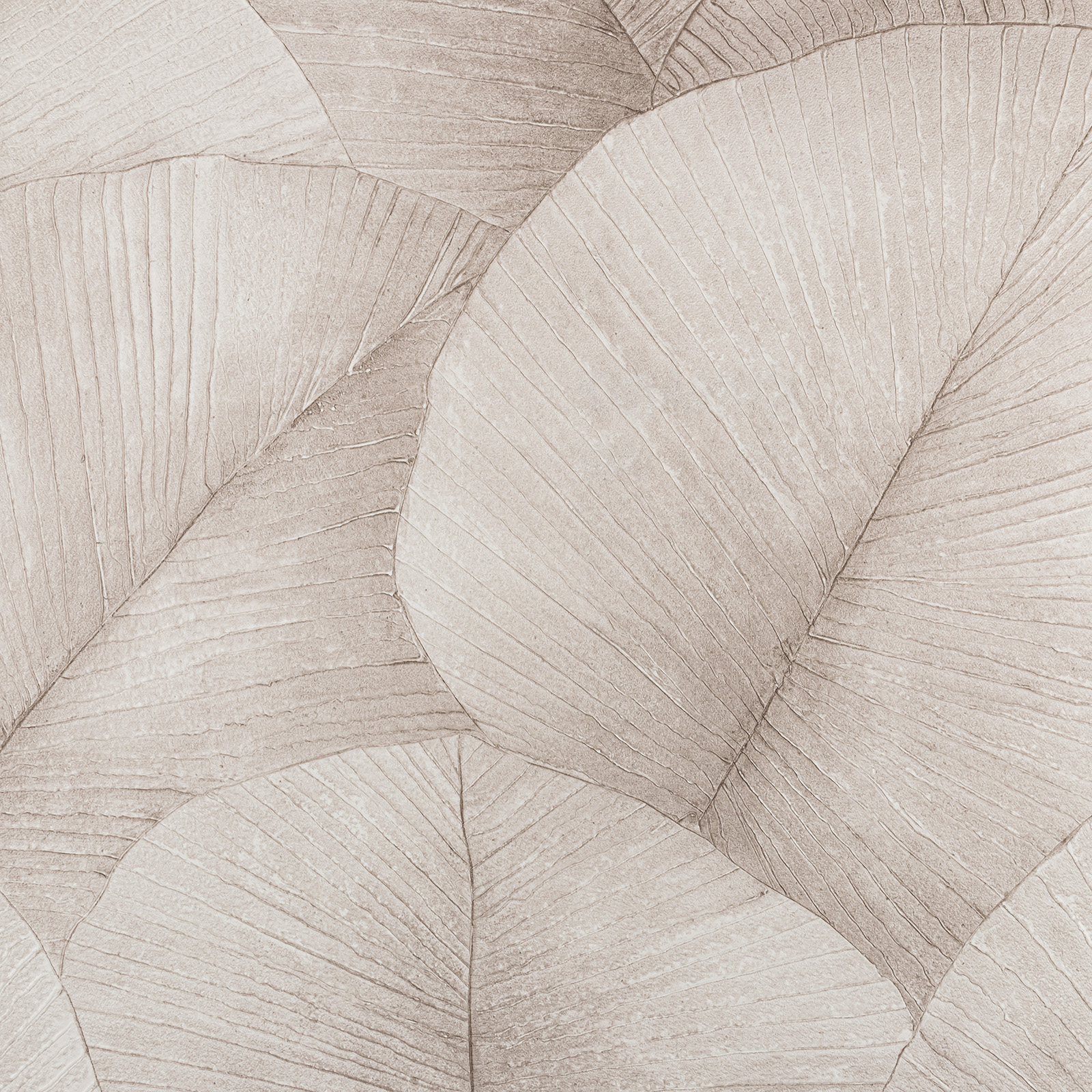 Обои KUMANO34561