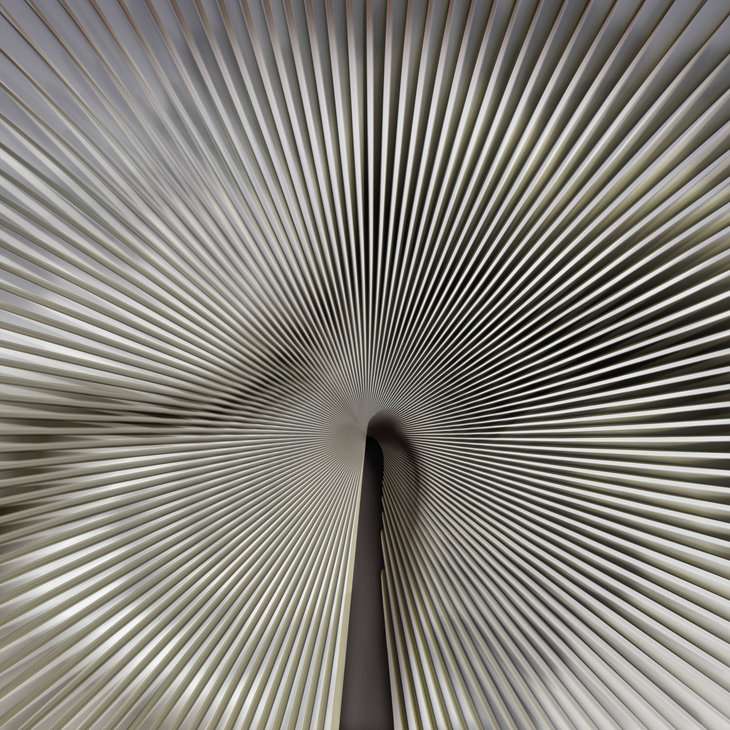 18990 Панно Zambaiti (Trussardi VII) (1*1) 3,00х3,00 винил на флизелине