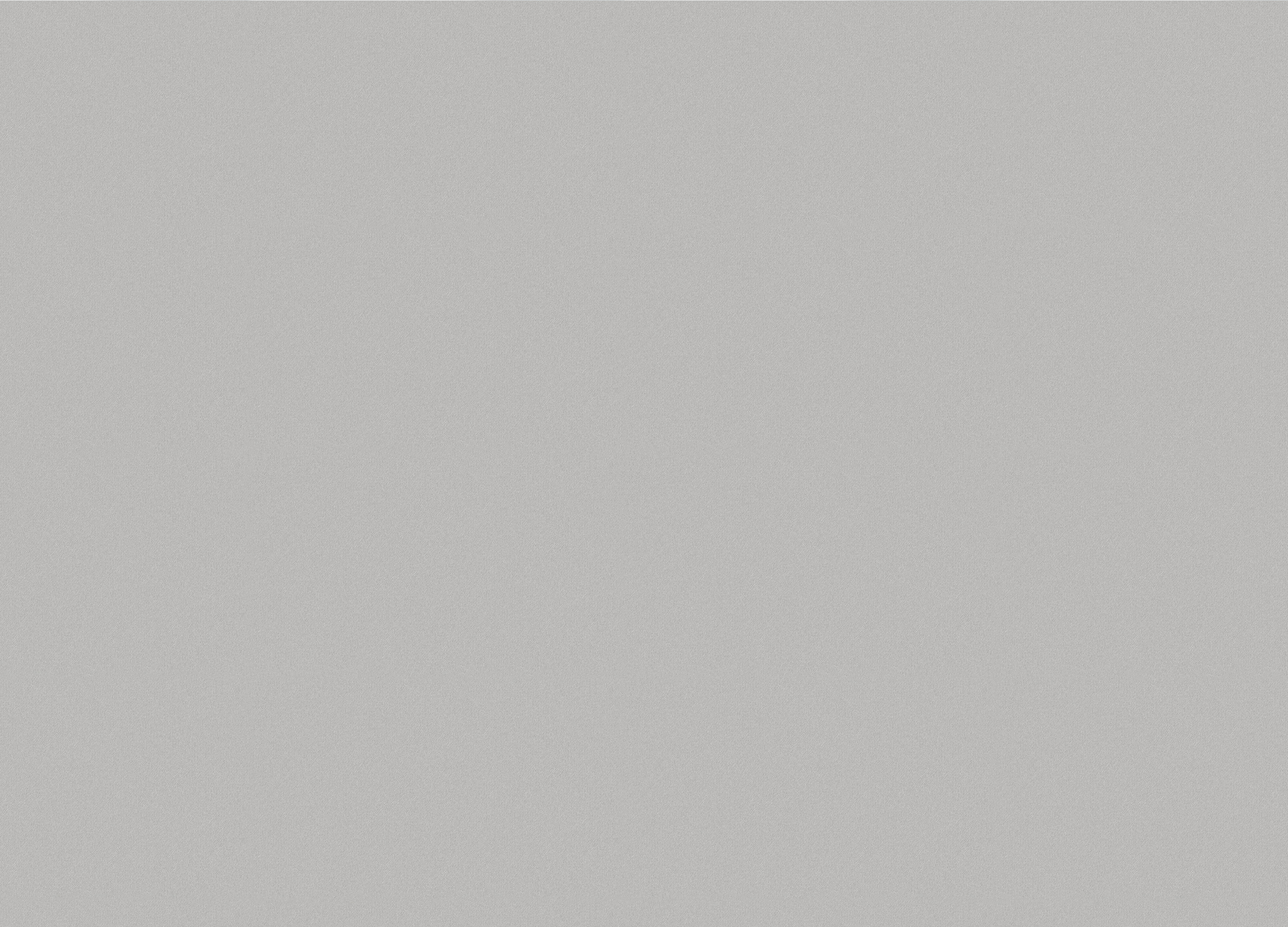 654752 Обои Wall-Up (Step-Up) (1*6) 10,05х1,06  винил на флизелине