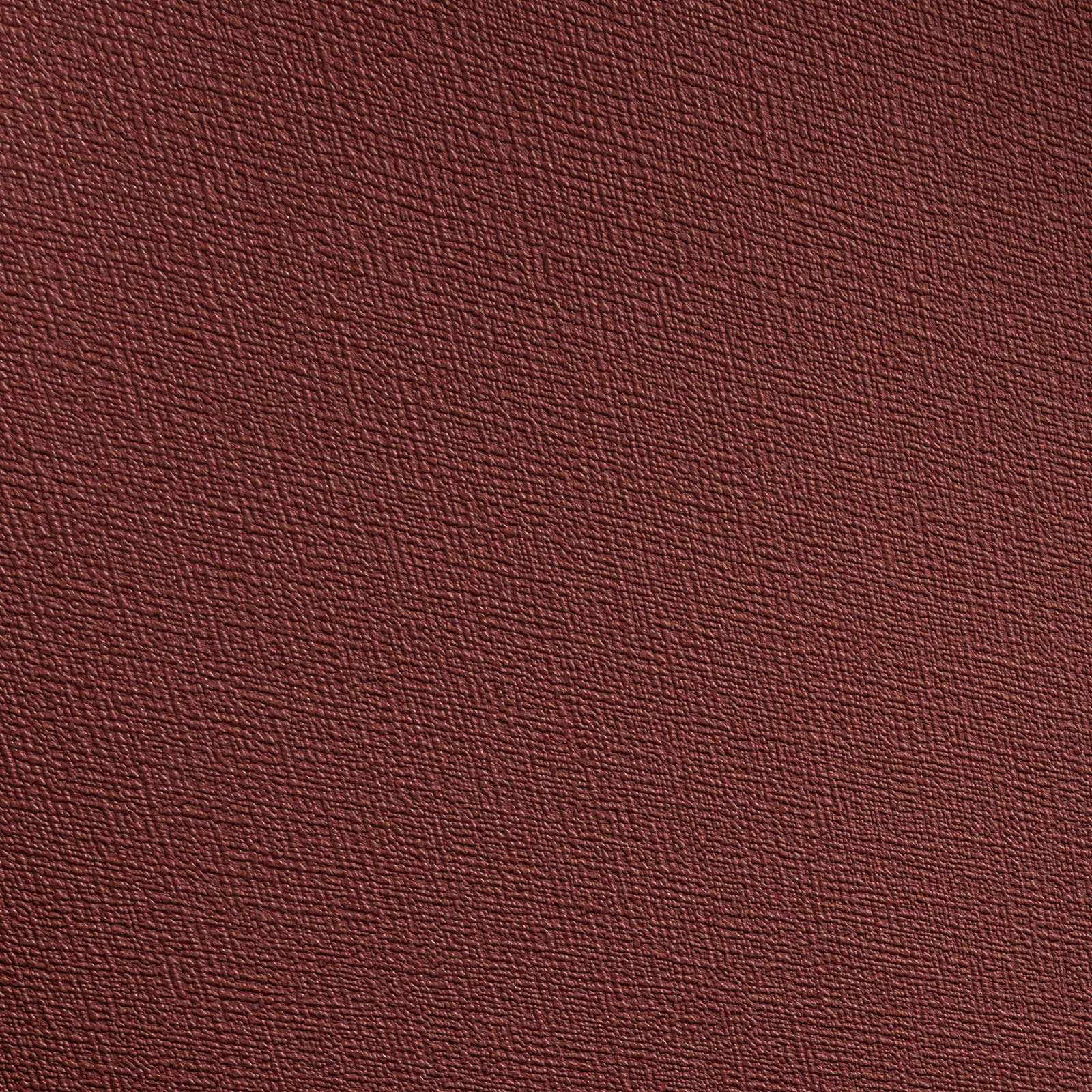 Обои   Alessandro Allori R 95011-25