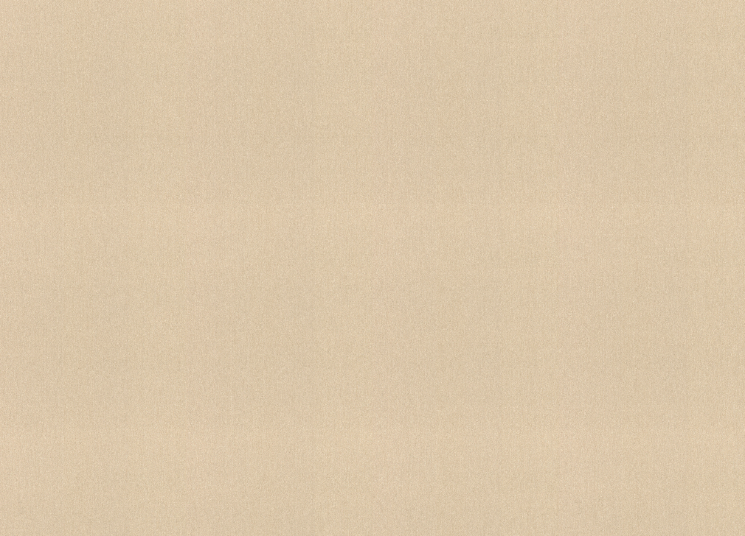 977608 Обои Rasch (Florentine Incanto) (1*6) 10,05x1,06 винил на флизелине