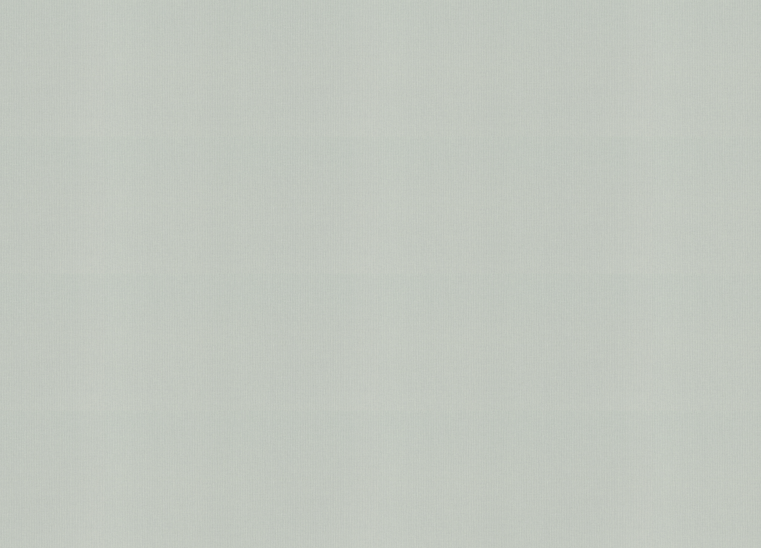 960792 Обои Rasch (Novella) (1*6) 10,05x1,06 винил на флизелине