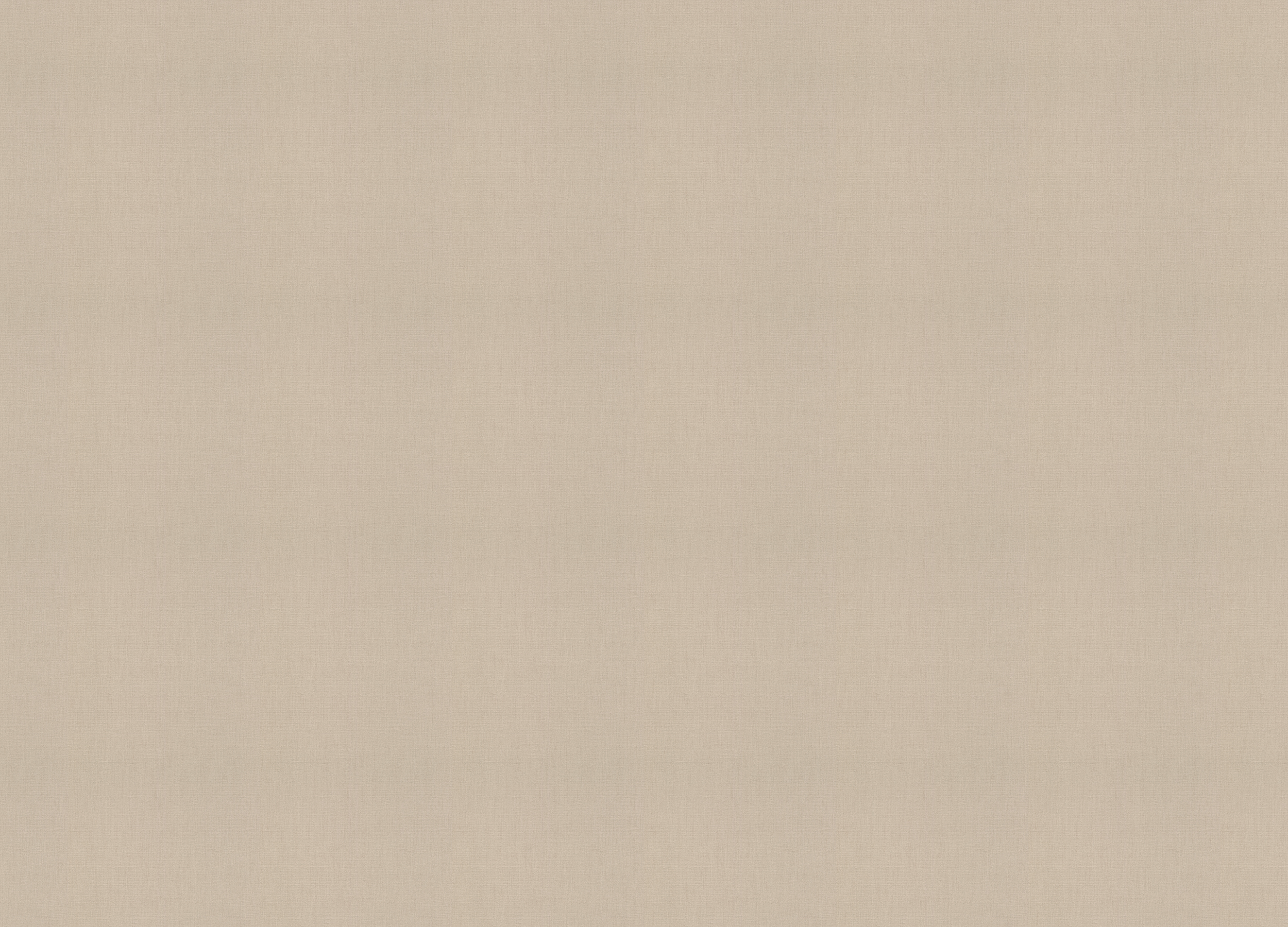 820041 Обои Rasch (Florentine Incanto) (1*6) 10,05x1,06 винил на флизелине