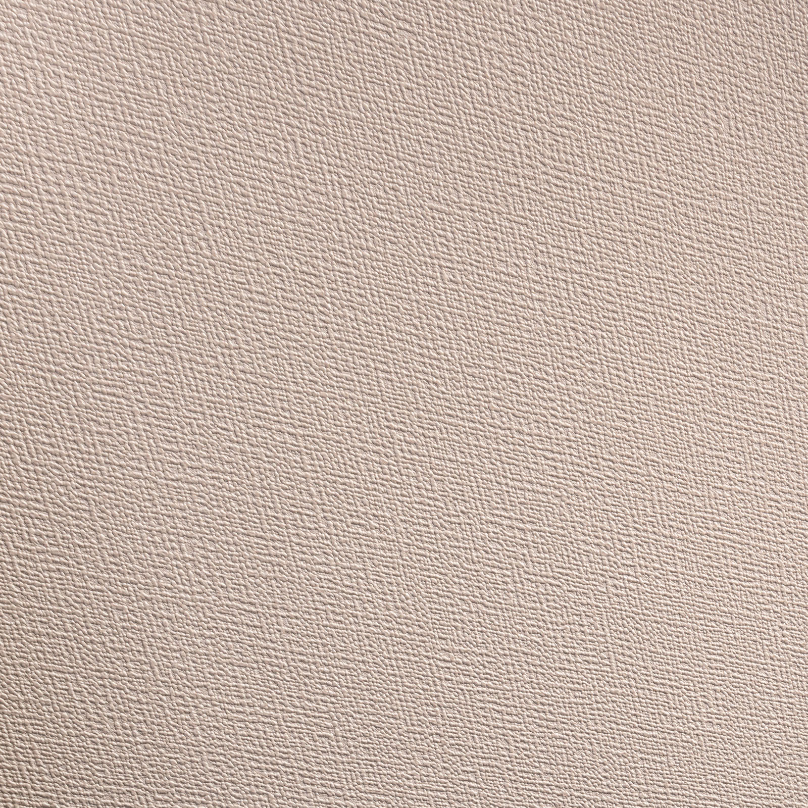 Обои   Alessandro Allori R 95011-24