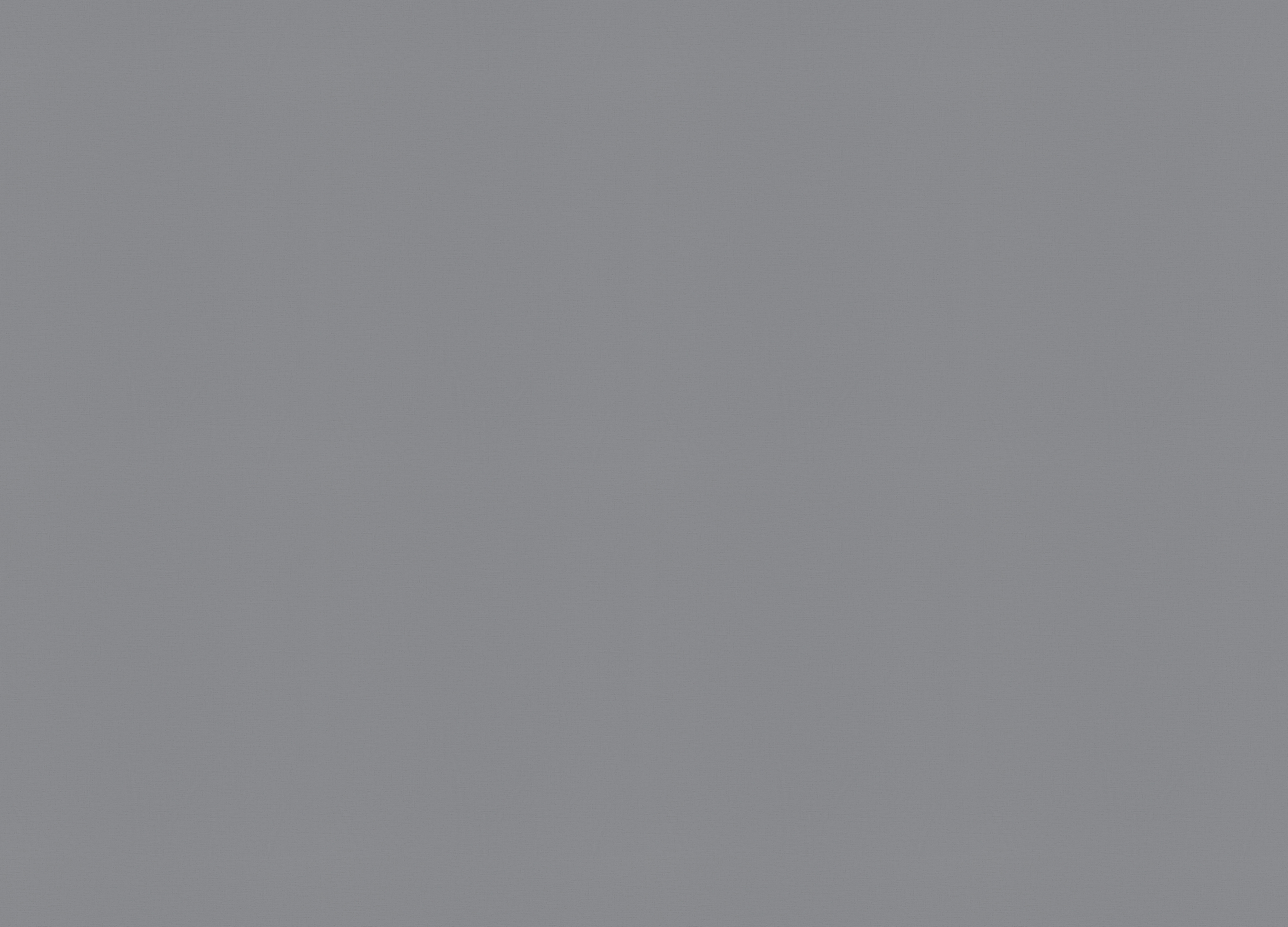 82350 Обои Marburg (Flora) (1*12) 10,05x0,53 винил на флизелине