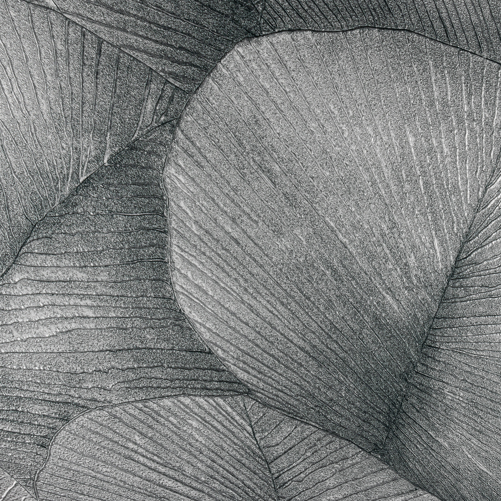 Обои KUMANO34564 Обои KUMANO34564