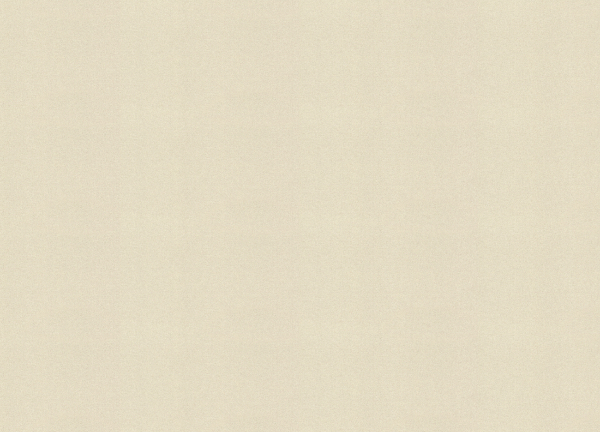 971361 Обои Rasch (Country Living) (1*6) 10,00x1,06 винил на флизелине 971361 Обои Rasch (Country Living) (1*6) 10,00x1,06 винил на флизелине