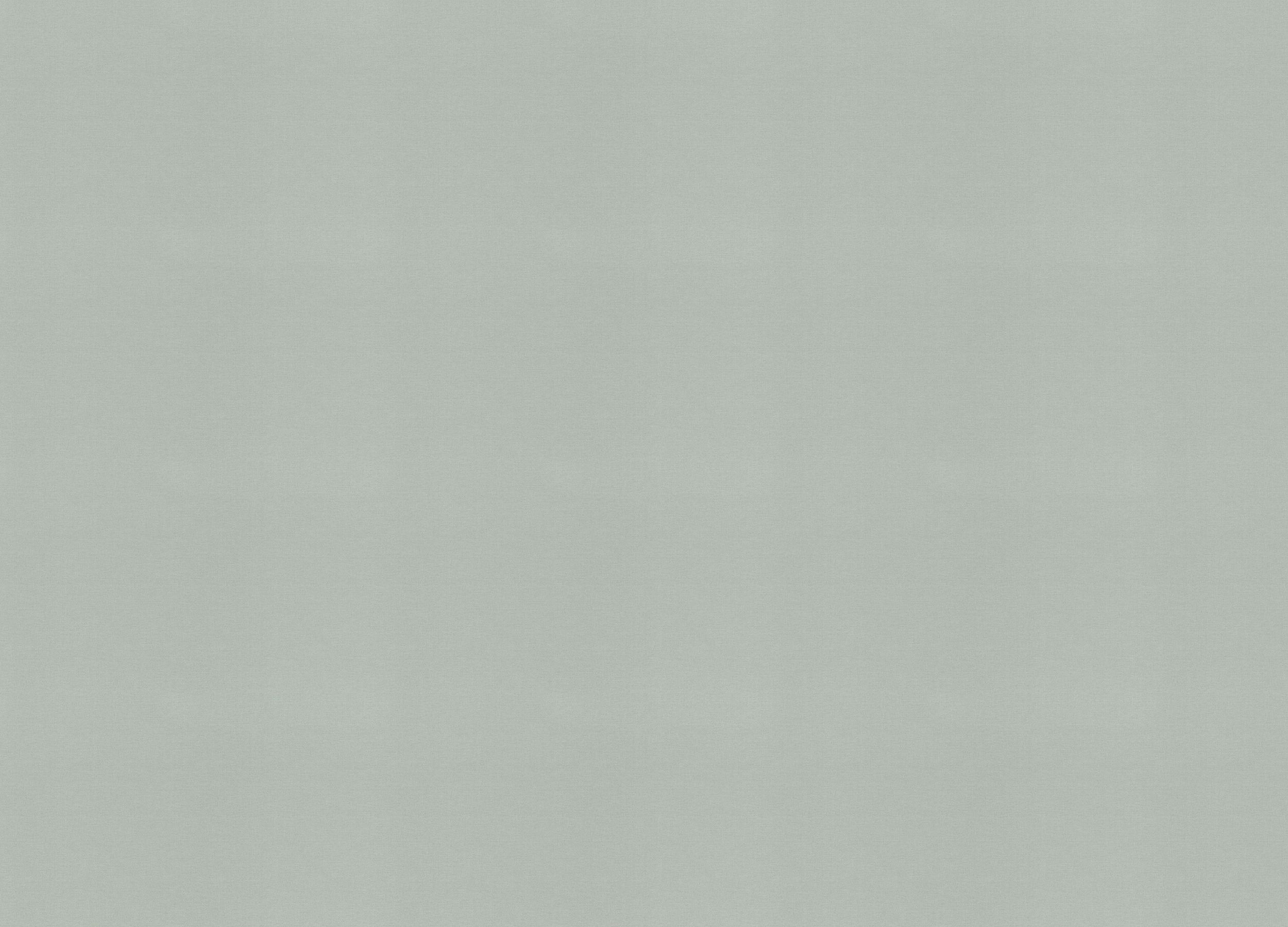 971460 Обои Rasch (Country Living) (1*6) 10,00x1,06 винил на флизелине 971460 Обои Rasch (Country Living) (1*6) 10,00x1,06 винил на флизелине