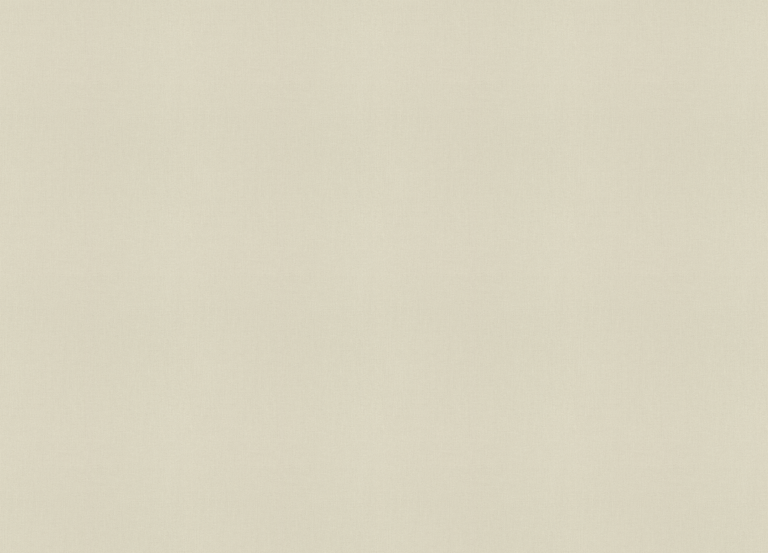 423914 Обои Rasch (Allegretto) (1*12) 10,05x0,53 винил на флизелине