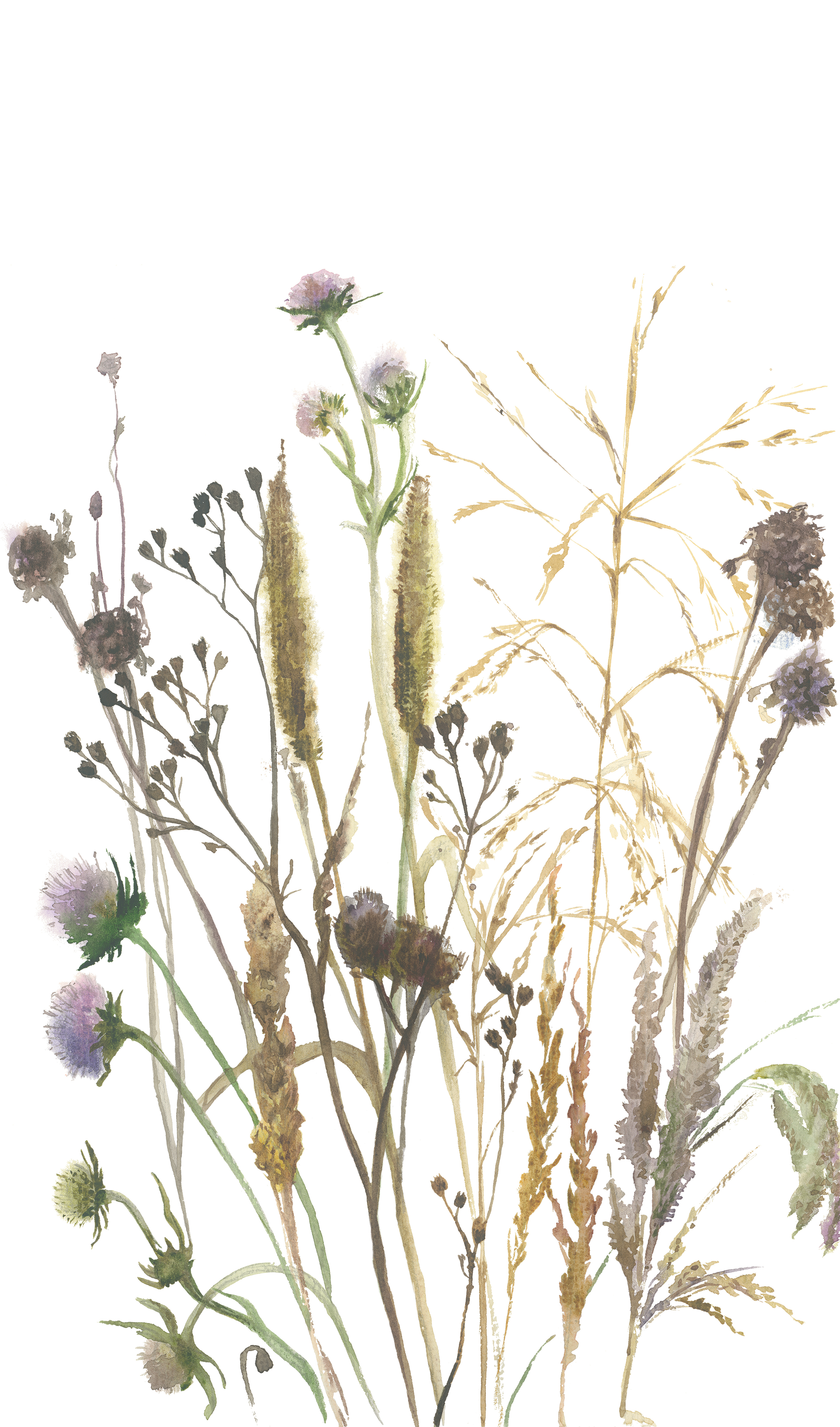 35799 Панно Marburg (Boho) (1*6) 2,70x1,59 винил на флизелине