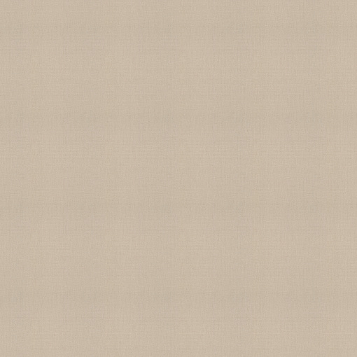 820041 Обои Rasch (Florentine Incanto) (1*6) 10,05x1,06 винил на флизелине