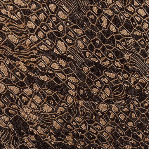 Обои  Roberto Cavalli RC 19040