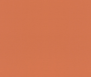 Виниловые обои Allegretto 687569 Обои Rasch (Allegretto) (1*12) 10,05x0,53 винил на флизелине