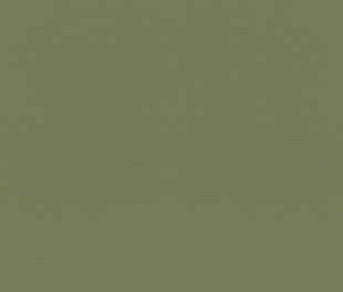 Виниловые обои Allegretto 687538 Обои Rasch (Allegretto) (1*12) 10,05x0,53 винил на флизелине