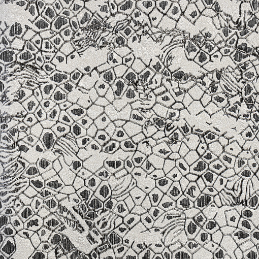 Обои  Roberto Cavalli RC 19035