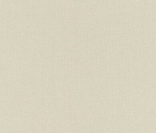 Виниловые обои Allegretto 423914 Обои Rasch (Allegretto) (1*12) 10,05x0,53 винил на флизелине
