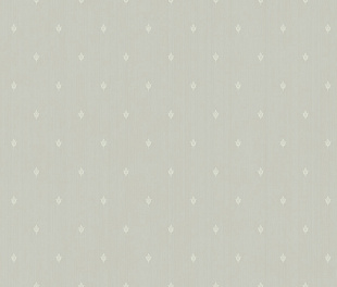 ARTS2 002/2  Обои Artsimple (Mozart) (1*6) 10,05x1,00 флизелин
