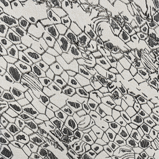 Обои  Roberto Cavalli RC 19035