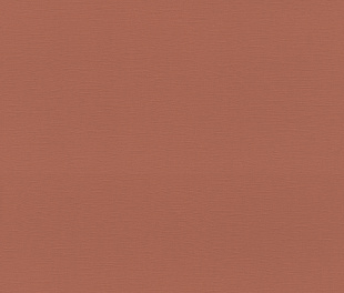 Виниловые обои Allegretto 692730 Обои Rasch (Allegretto) (1*12) 10,05x0,53 винил на флизелине