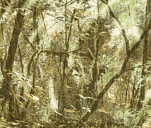 Виниловые обои Architexture 23083 Панно Zambaiti (Architexture) (1*1) 5,10 x 3.00 винил на флизелине