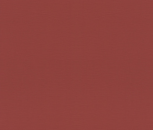 Виниловые обои Allegretto 688061 Обои Rasch (Allegretto) (1*12) 10,05x0,53 винил на флизелине