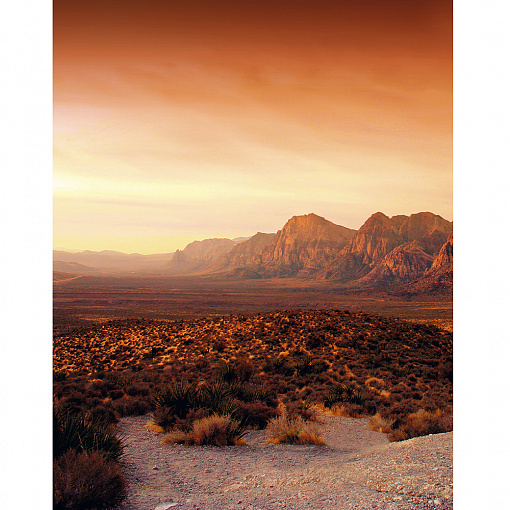 32548 Панно Marburg (Dune) (1*6) 2,70 x 2,12 винил на флизелине