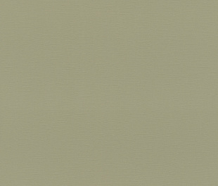 Виниловые обои Allegretto 692709 Обои Rasch (Allegretto) (1*12) 10,05x0,53 винил на флизелине