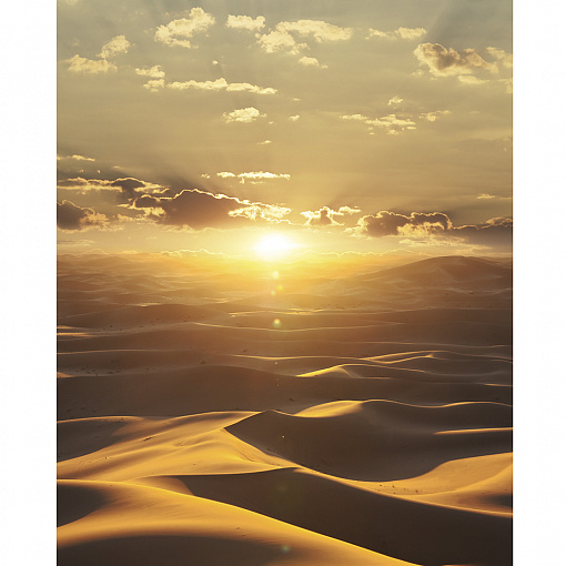 32545 Панно Marburg (Dune) (1*6) 2,70 x 2,12 винил на флизелине