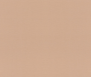 Виниловые обои Allegretto 687576 Обои Rasch (Allegretto) (1*12) 10,05x0,53 винил на флизелине