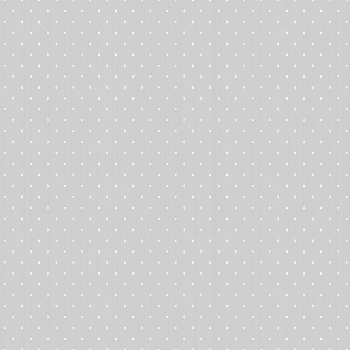 ARTS2 001  Обои Artsimple (Mozart) (1*6) 10,05x1,00 флизелин