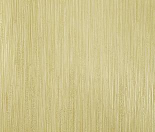 Виниловые обои Trussardi V 21854 Обои Zambaiti (Trussardi V) (1*6) 10,05x0,70 винил на флизелине