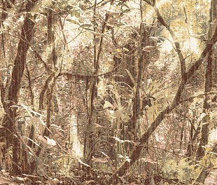 Виниловые обои Architexture 23084 Панно Zambaiti (Architexture) (1*1) 5,10 x 3.00 винил на флизелине