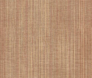 Обои Aura Texture Style ZN28061