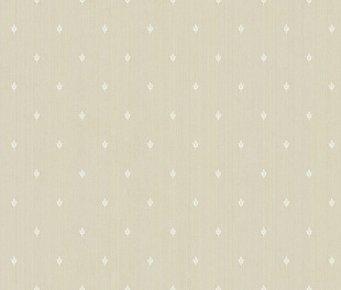 ARTS2 003  Обои Artsimple (Mozart) (1*6) 10,05x1,00 флизелин
