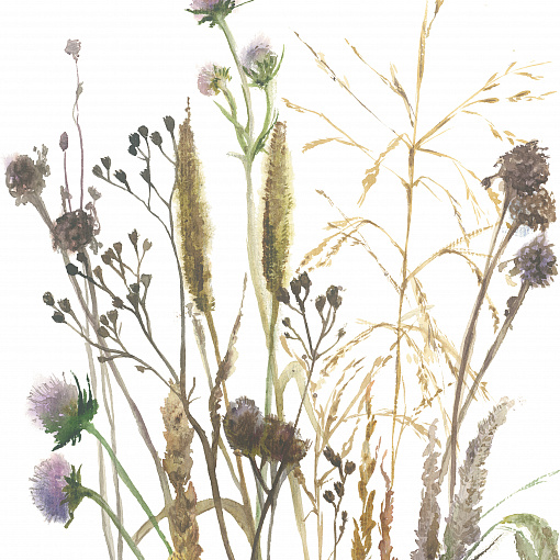 35799 Панно Marburg (Boho) (1*6) 2,70x1,59 винил на флизелине